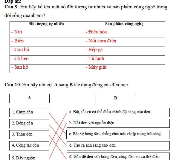 Đề Thi Công Nghệ Lớp 3: Tổng Hợp Kiến Thức Và Bài Tập Gallery 2