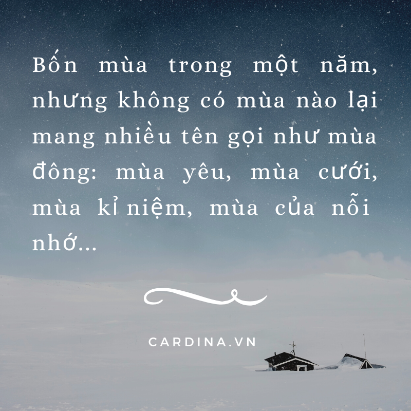 Thả Thính Mùa Đông Hài Hước: Gây Bão Tim Em Bằng Những Câu Nói "Ngọt Ngào" Nhất! Gallery 2