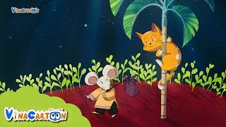 Mèo Trèo Cây Cau: Tại Sao Mèo Thích Trèo Cây Cau?