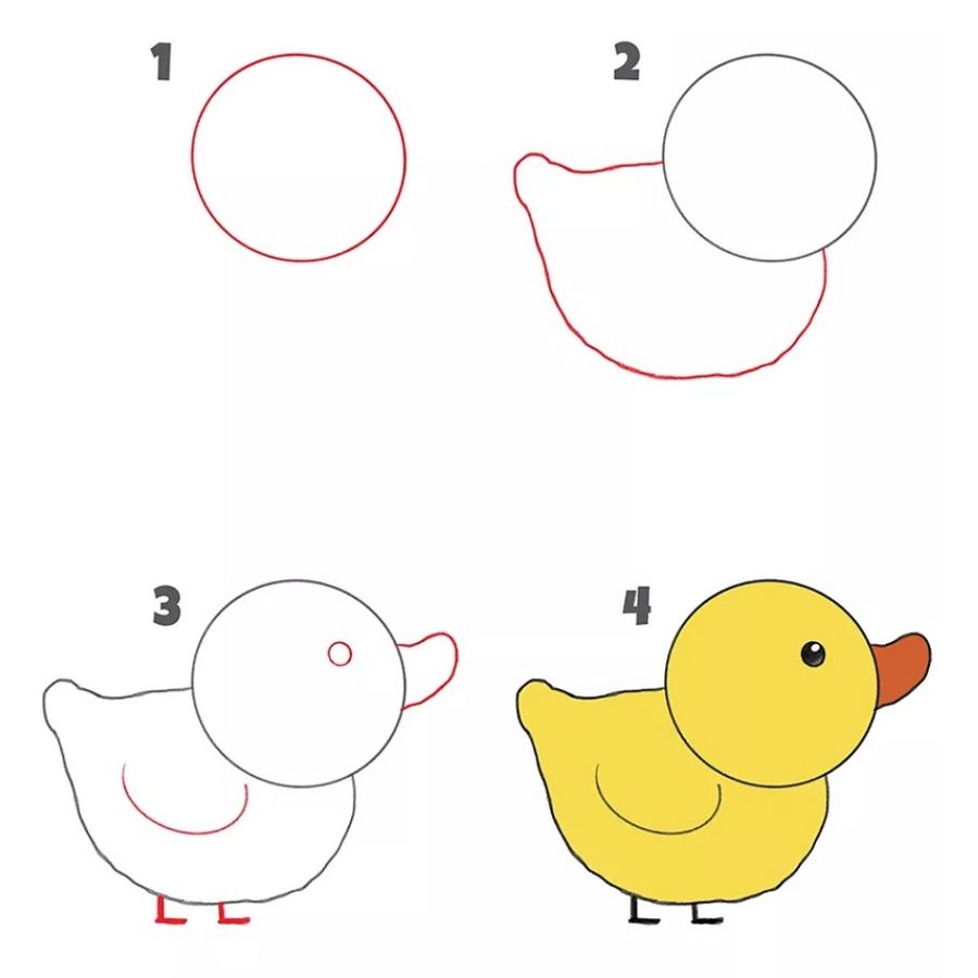 Hình Con Vật Dễ Vẽ Gallery 2