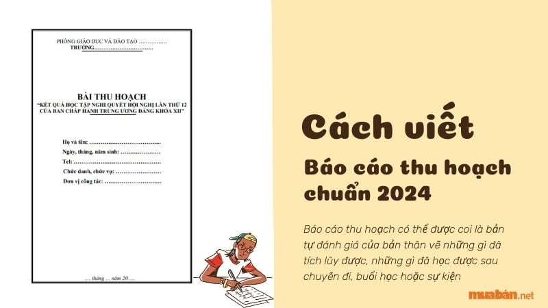Cách Viết Bài Thu Hoạch Đi Thực Tế Chuẩn SEO Gallery 2