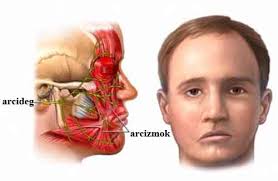 Mép Miệng Bị Giật: Nguyên Nhân, Điều Trị Và Phòng Ngừa