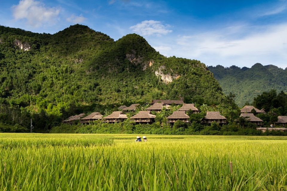 Cảnh Đẹp Việt Nam: Khám Phá Thiên Nhiên Tuyệt Vời Gallery 1