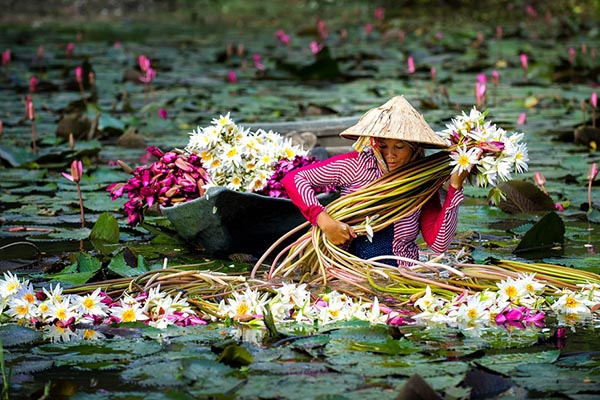 Miền Tây mùa nước nổi: Kinh nghiệm du lịch và những điều thú vị