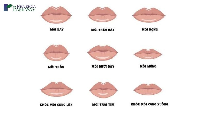 Miệng Nhỏ Môi Dày: Đặc Điểm, Vẻ Đẹp Và Phong Cách Trang Điểm Phù Hợp
