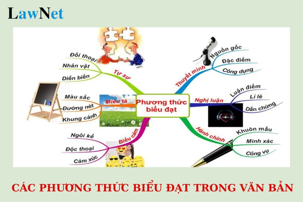 Các Phương Thức Biểu Đạt Trong Văn Bản Gallery 2
