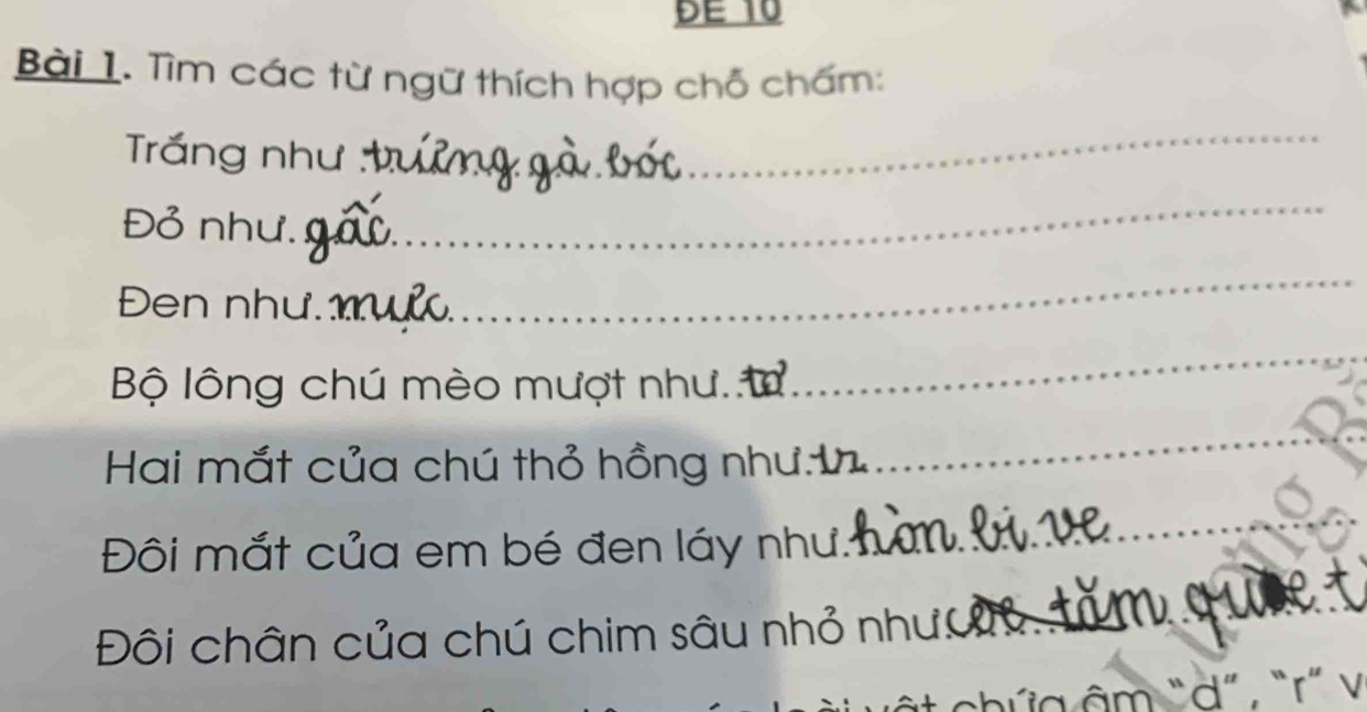 Hai mắt của chú thỏ hồng như gì? Gallery 1