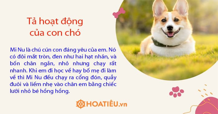 Tả hoạt động của con chó lớp 4 Gallery 2