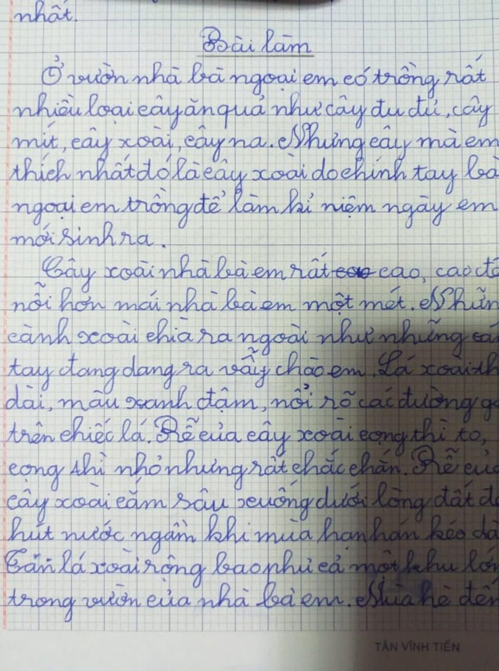 Văn lớp 5 tả cây cối Gallery 1