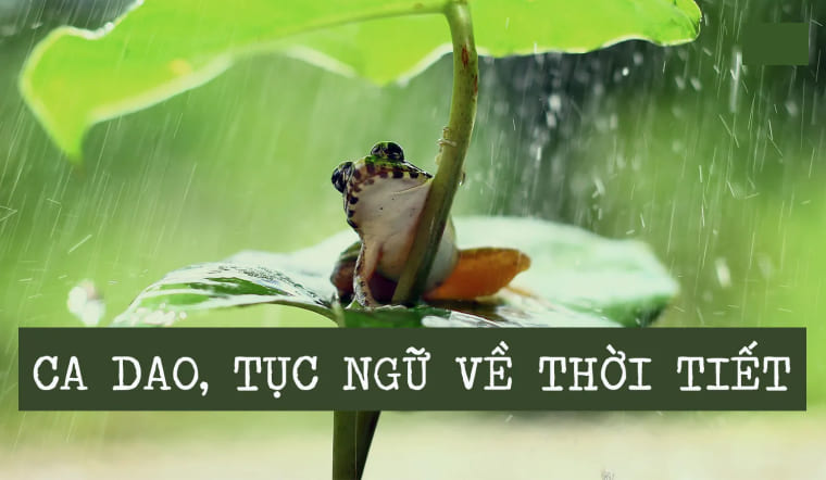 Những câu ca dao tục ngữ về thời tiết hay nhất Gallery 2