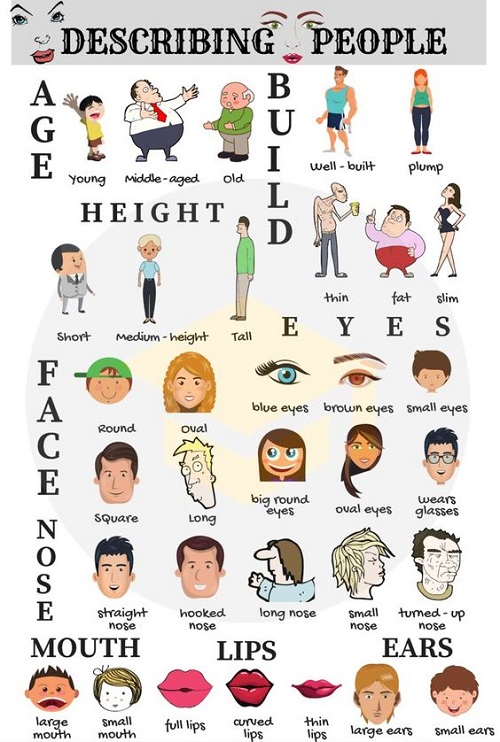 Các Tính Từ Miêu Tả Ngoại Hình Con Người Tiếng Việt Gallery 1