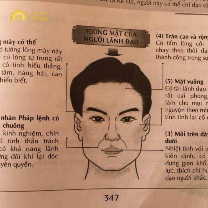 Miêu tả khuôn mặt nam nhân Gallery 2