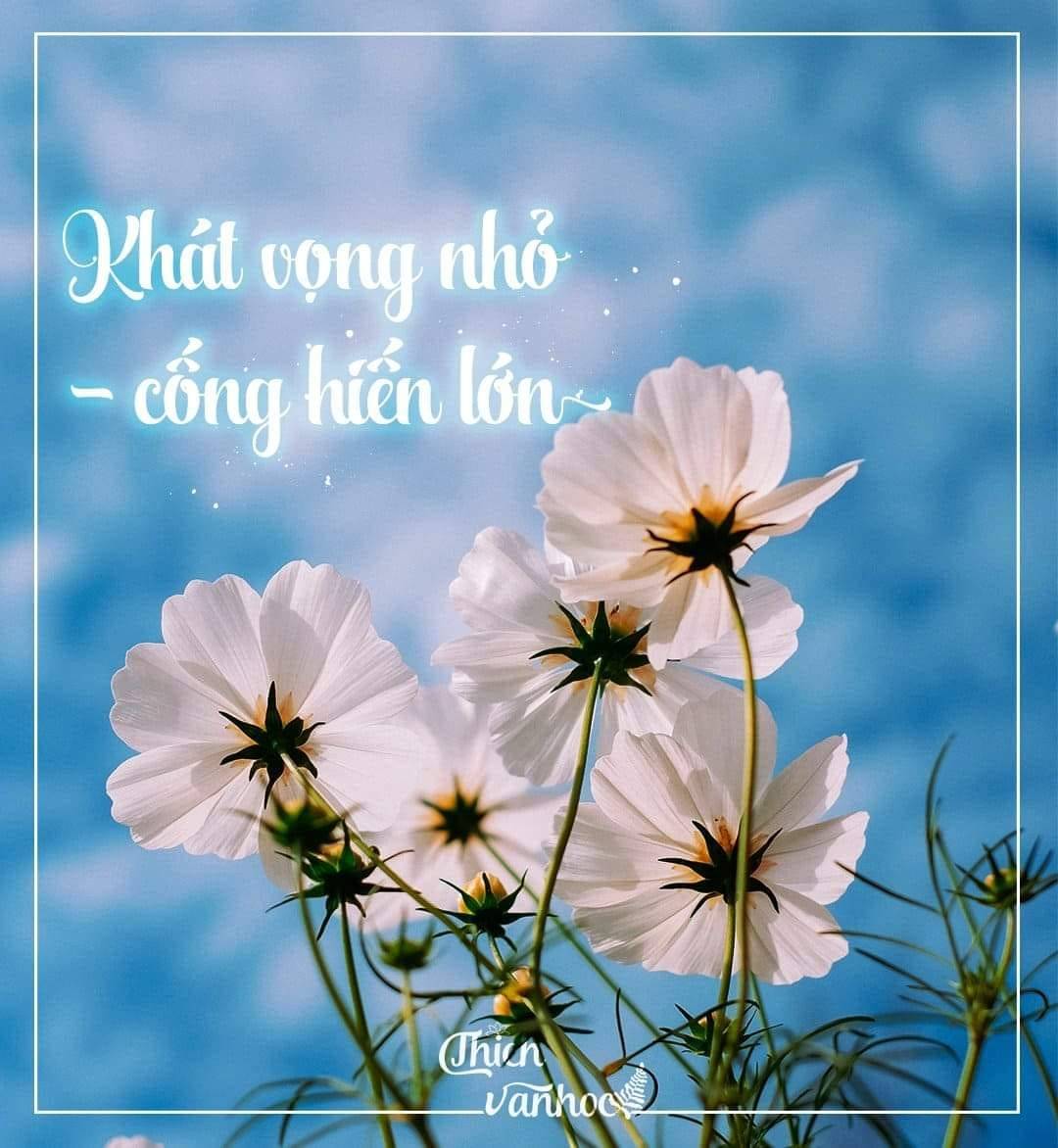Mở Bài Mùa Xuân Nhỏ Nhỏ