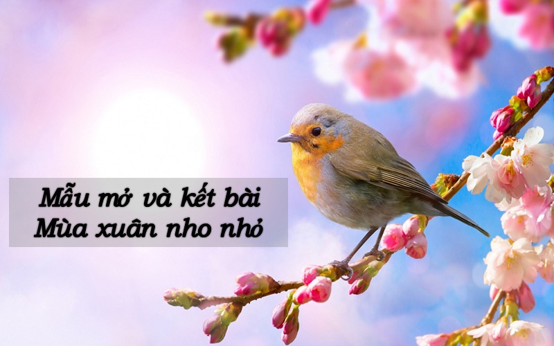 Mở Bài Mùa Xuân Nhỏ Nhỏ Hay Nhất Gallery 2