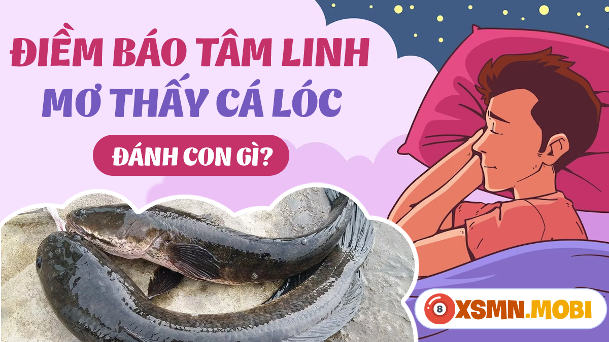 Mơ Bắt Được Cá Lóc Đánh Con Gì?