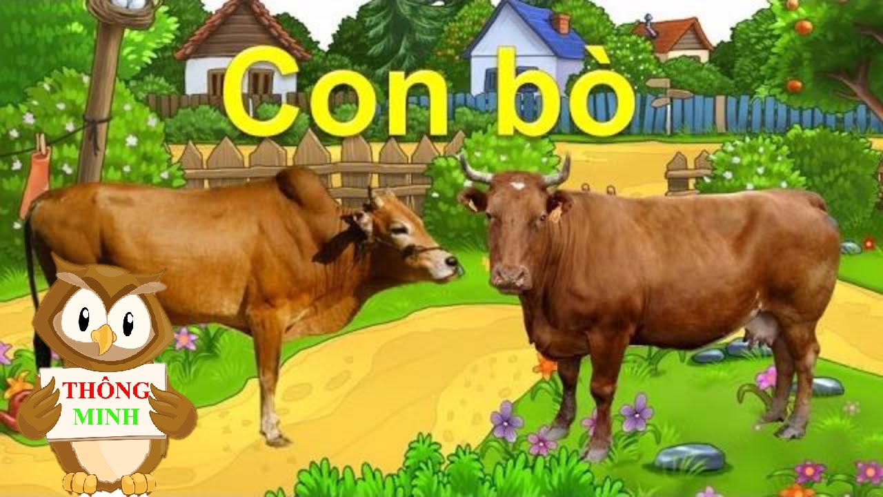 Mở các con vật