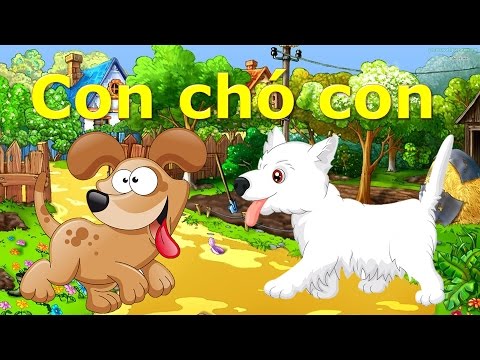 Mở cái gì đấy? Hướng dẫn chi tiết các loại mở và ứng dụng