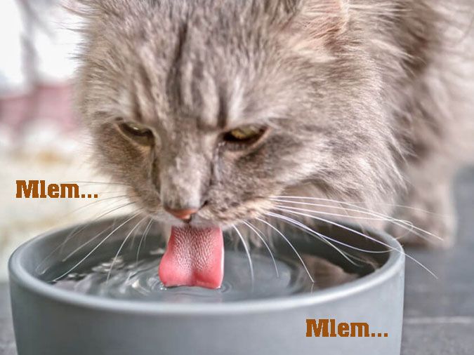 Mờ lem là gì?