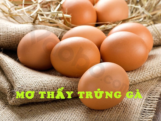 Mơ Nhặt Được Trứng Đánh Đề Con Gì?