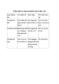 Phân biệt các loại mô phân sinh Gallery 2