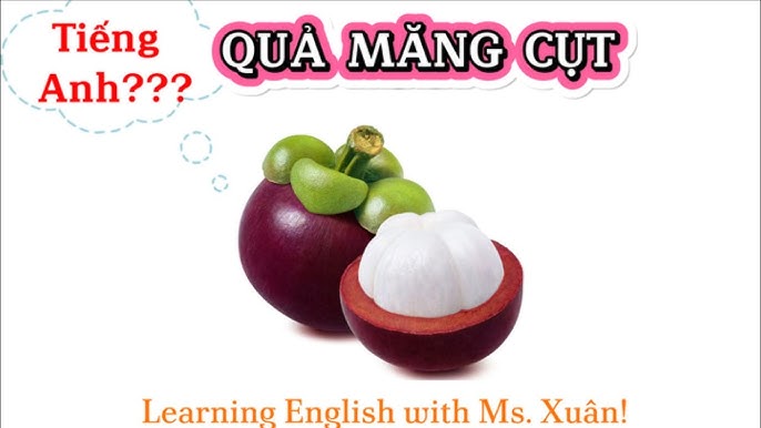 Mang Cut Tiếng Anh Là Gì? Gallery 2