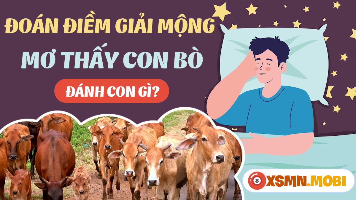 Mơ Thấy Bò Đẻ Đánh Con Gì?
