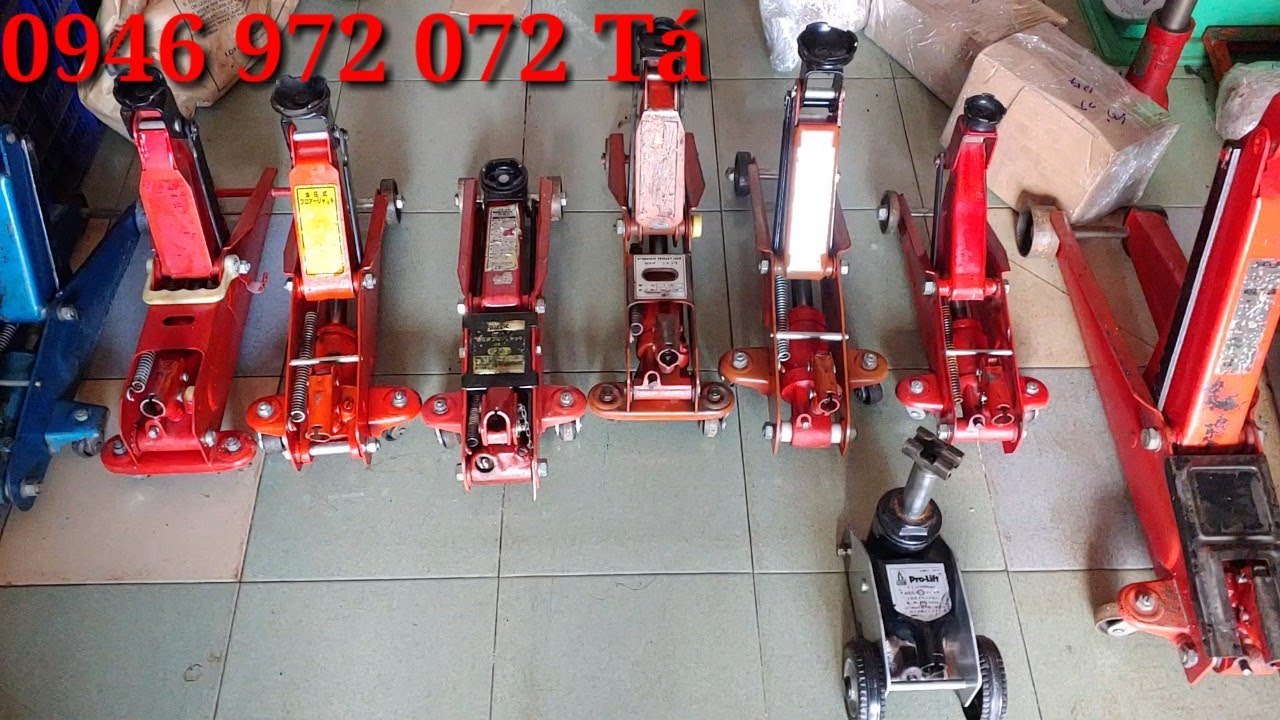 Kích Cá Sấu Bãi Gallery 2