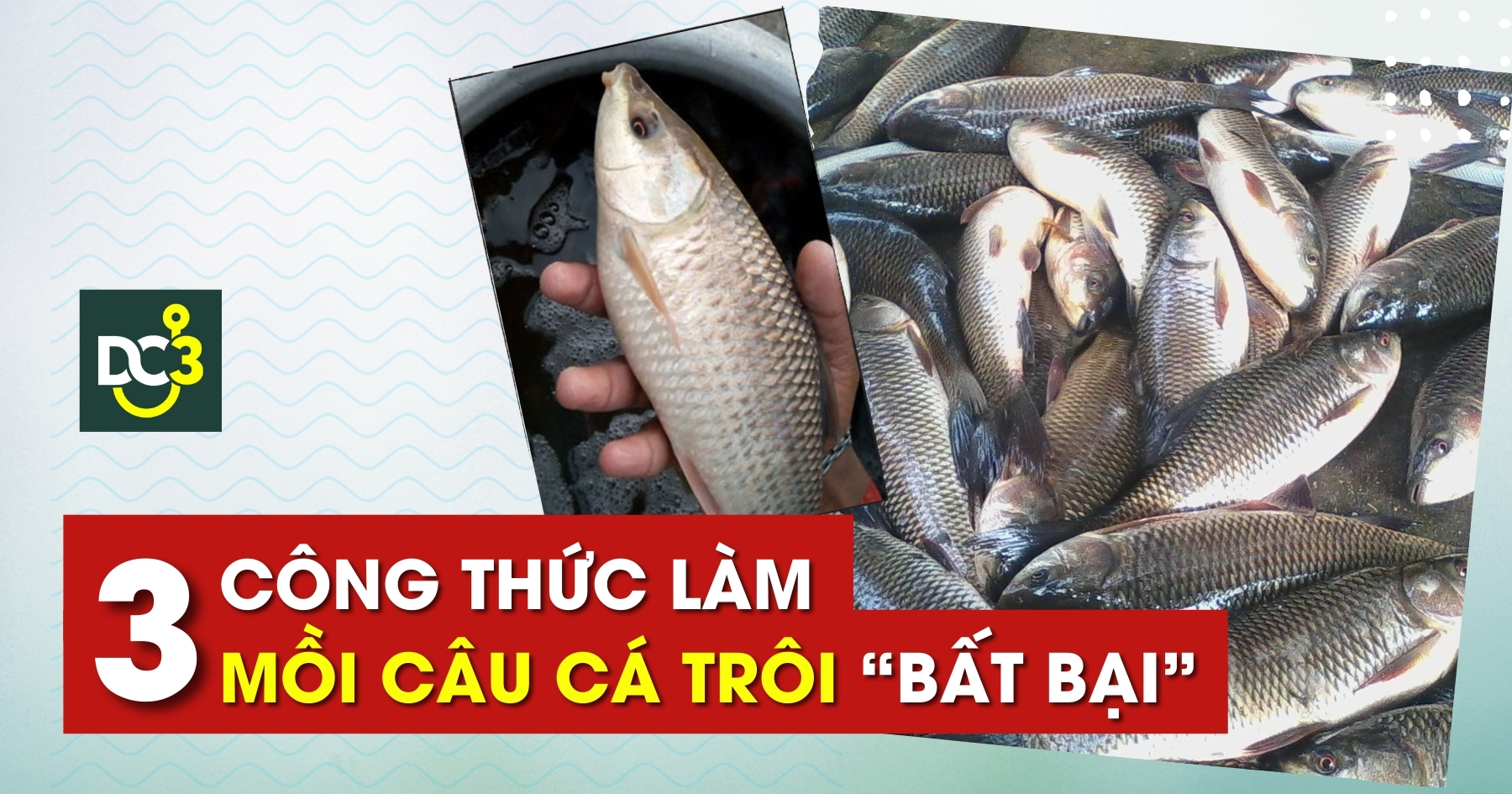 Mồi câu cá trôi chuẩn nhất Gallery 2