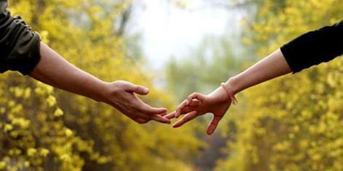 Mỗi người xuất hiện trong cuộc đời bạn đều sẽ đóng một vai trò nhất định Gallery 2