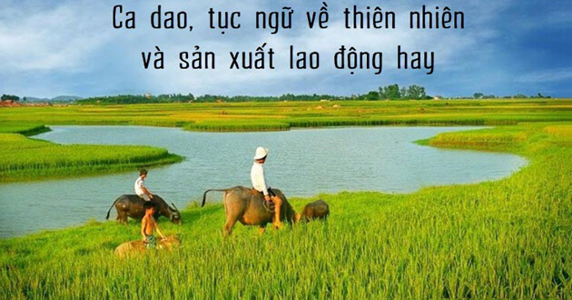 Tục Ngữ Về Thiên Nhiên Và Lao Động Sản Xuất: Những Bài Học Quý Giá Từ Ông Bà Ta Gallery 1