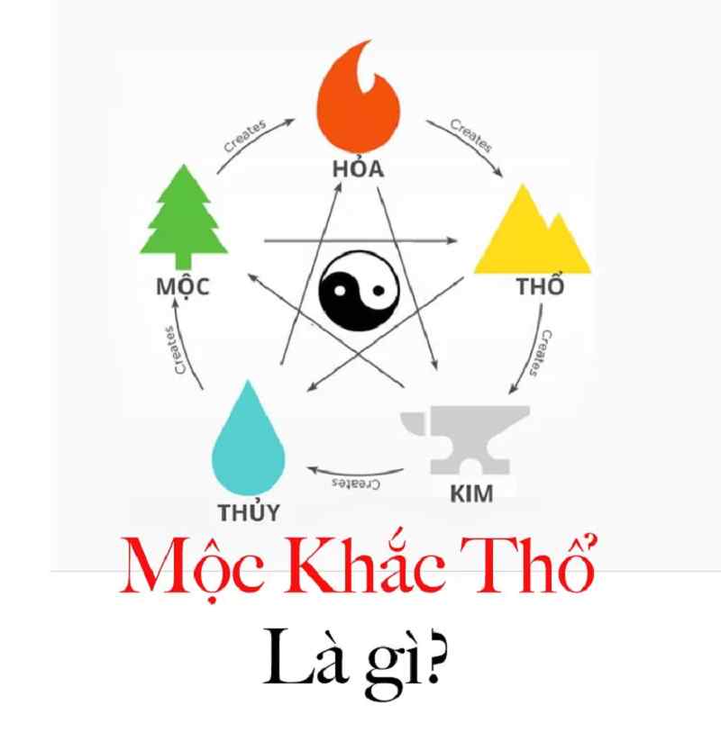 Thổ và Mộc có khắc nhau không? Gallery 1