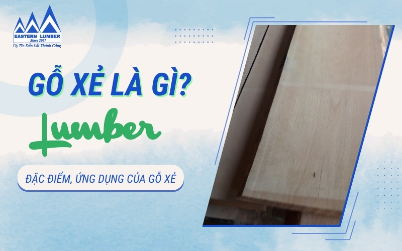 Sẻ Gỗ: Đặc điểm, môi trường sống và tập tính Gallery 2