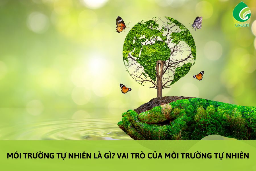 Môi trường thiên nhiên là gì?