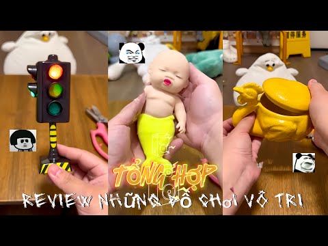 Sủng Vật Hay Món Đồ Chơi: Lựa Chọn Hoàn Hảo Cho Bạn! Gallery 2