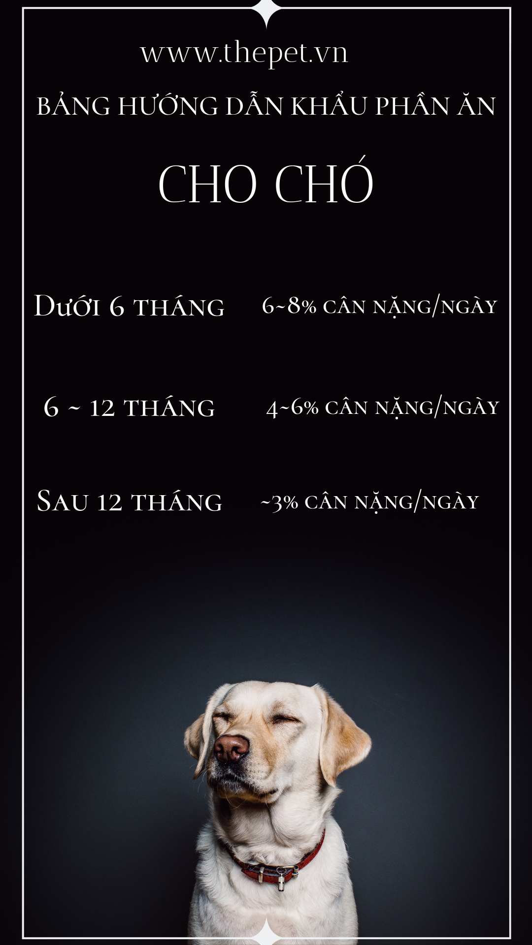 Món Khoái Khẩu Của Chó Là Gì?