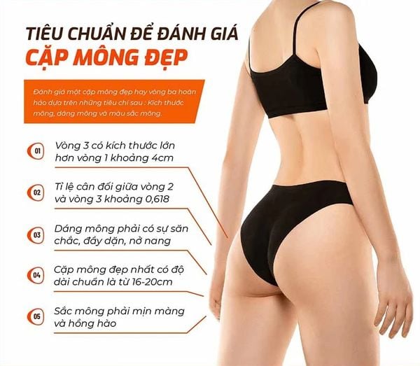 Mông 100 Là To Hay Nhỏ?