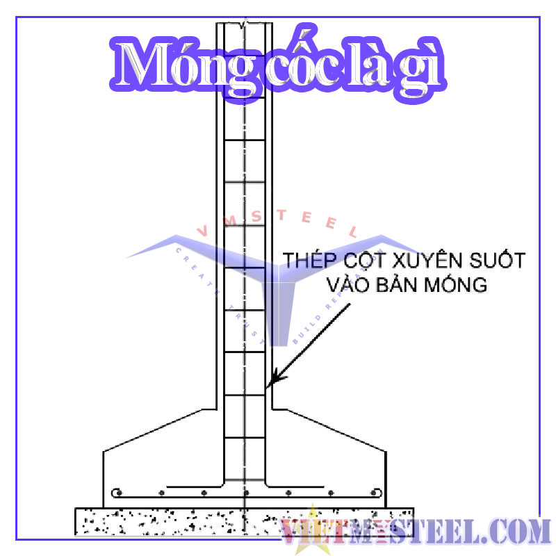 Móng cốc là gì?
