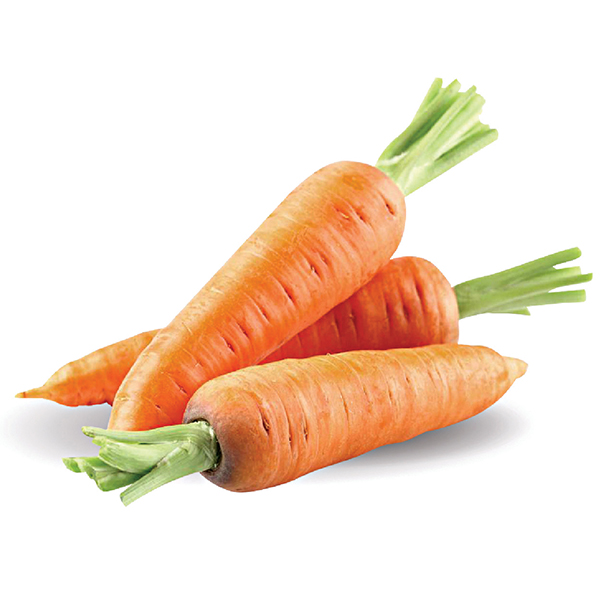 What is Carrot in English? Gallery 1