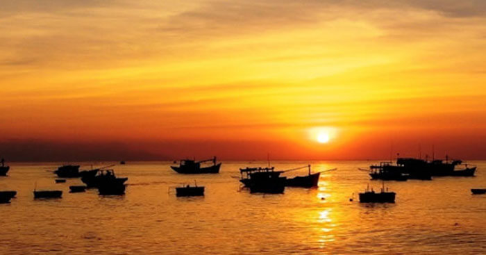 Đoàn Thuyền Đánh Cá - Kể Chuyện Từ Biển Khơi Gallery 1