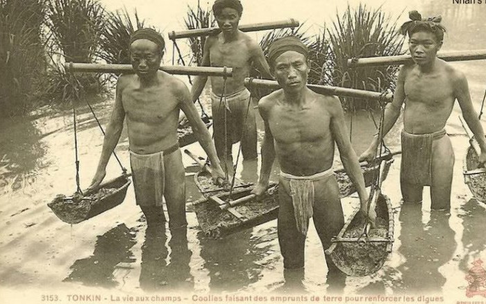 Một Cổ Hai Tròng Là Gì?