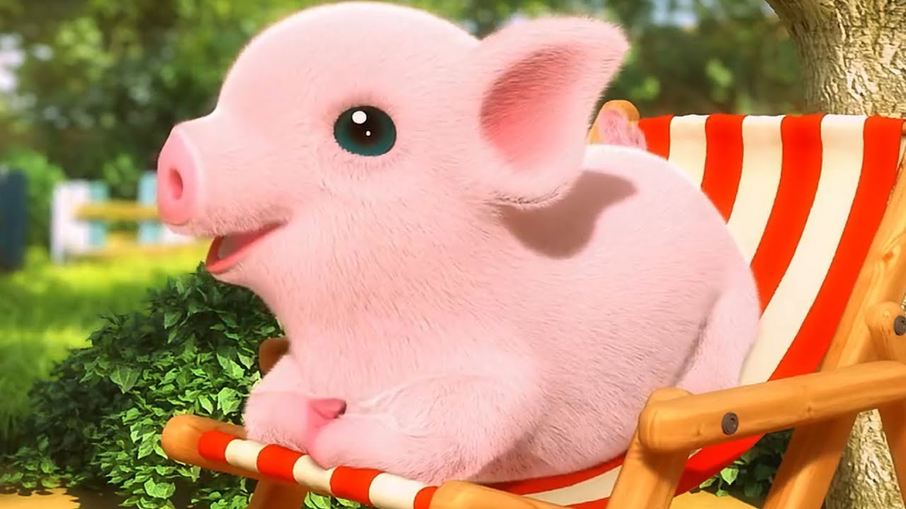 Heo Đất: Hướng Dẫn Chọn Mua và Sử Dụng Hiệu Quả