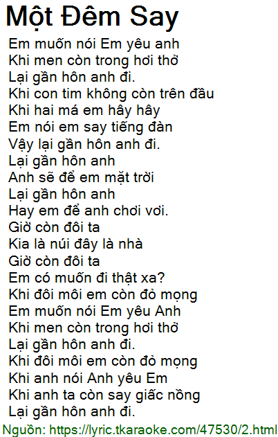 Một Đêm Say - Lời Bài Hát