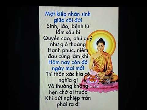 Một Kiếp Nhân Sinh Giữa Cõi Đời
