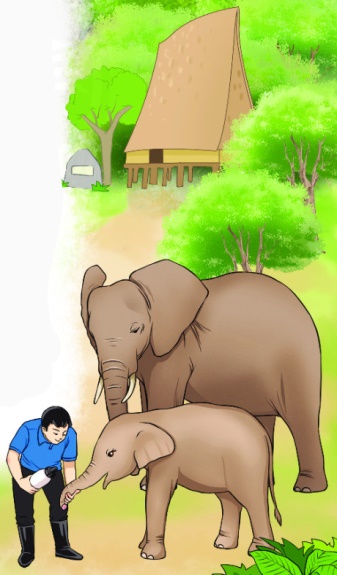 Một Ngày Ở Vườn Quốc Gia: Hướng Dẫn Hoàn Hảo Cho Chuyến Đi Của Bạn