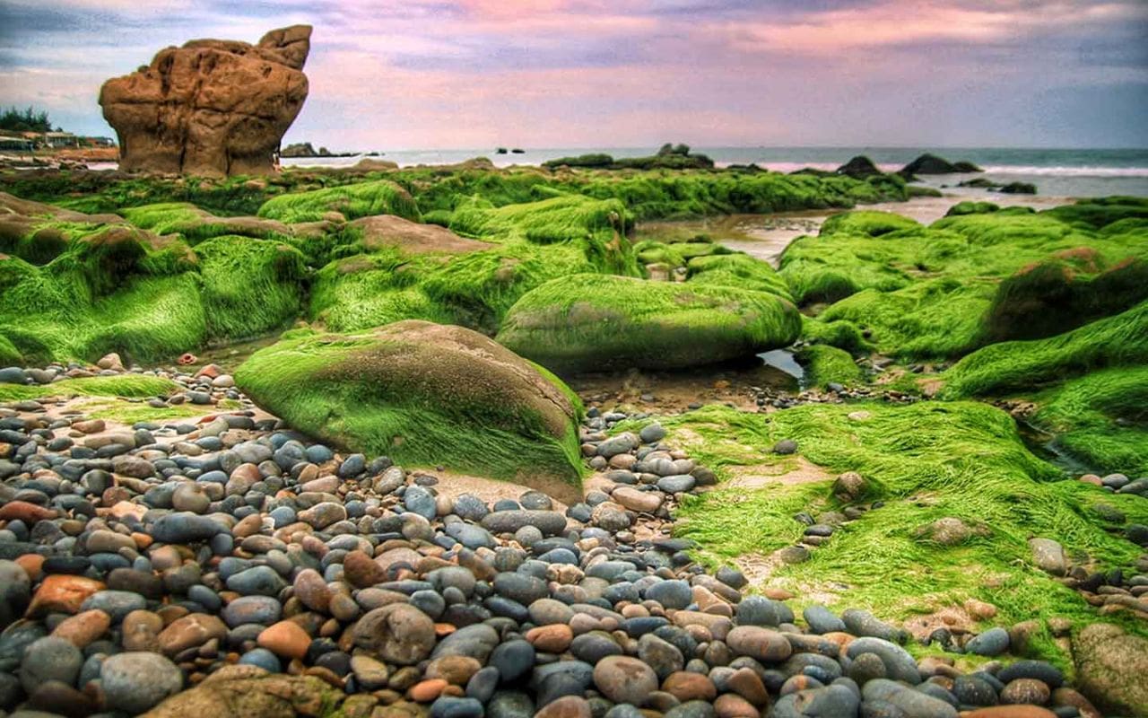 Bãi Biển Cổ Thạch: Khám Phá Vẻ Đẹp Huyền Bí Gallery 2