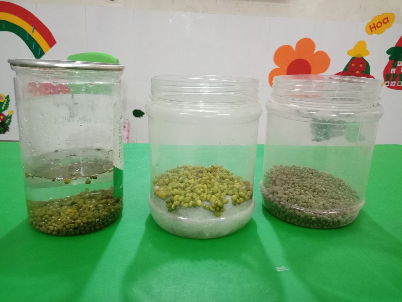 Một số biện pháp giúp trẻ thực hành trải nghiệm với môi trường tự nhiên