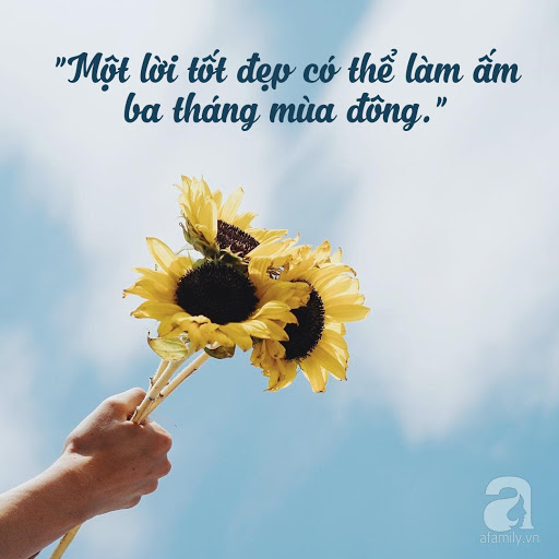 Cap ngắn ý nghĩa: Những câu nói chạm đến trái tim Gallery 2