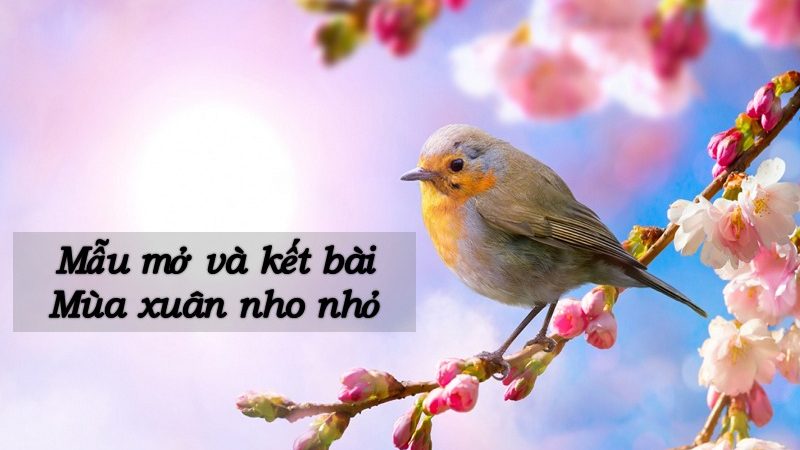 Mở Bài Mùa Xuân Nhỏ Nhỏ Hay Nhất Gallery 1
