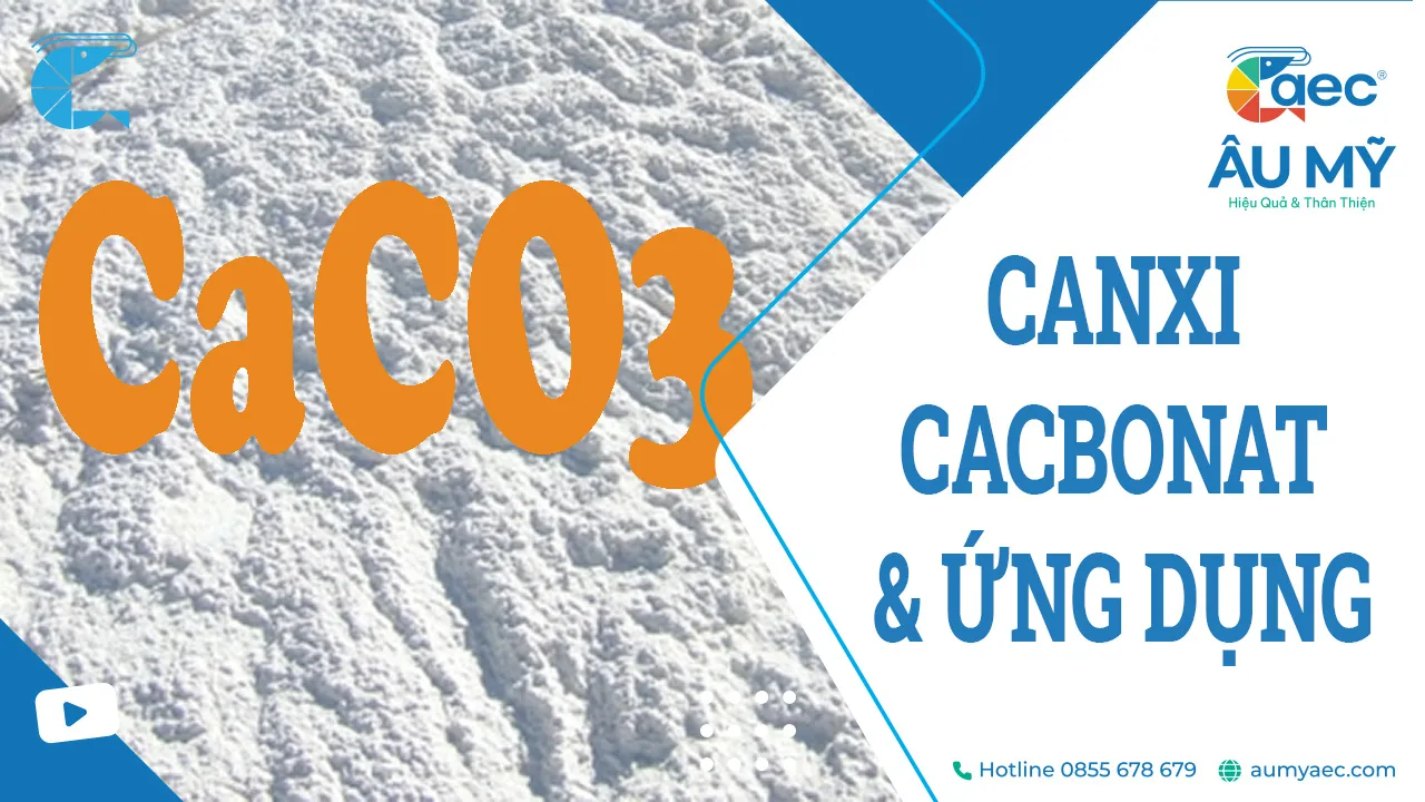 CaCO3 cộng gì ra CaO? Gallery 2