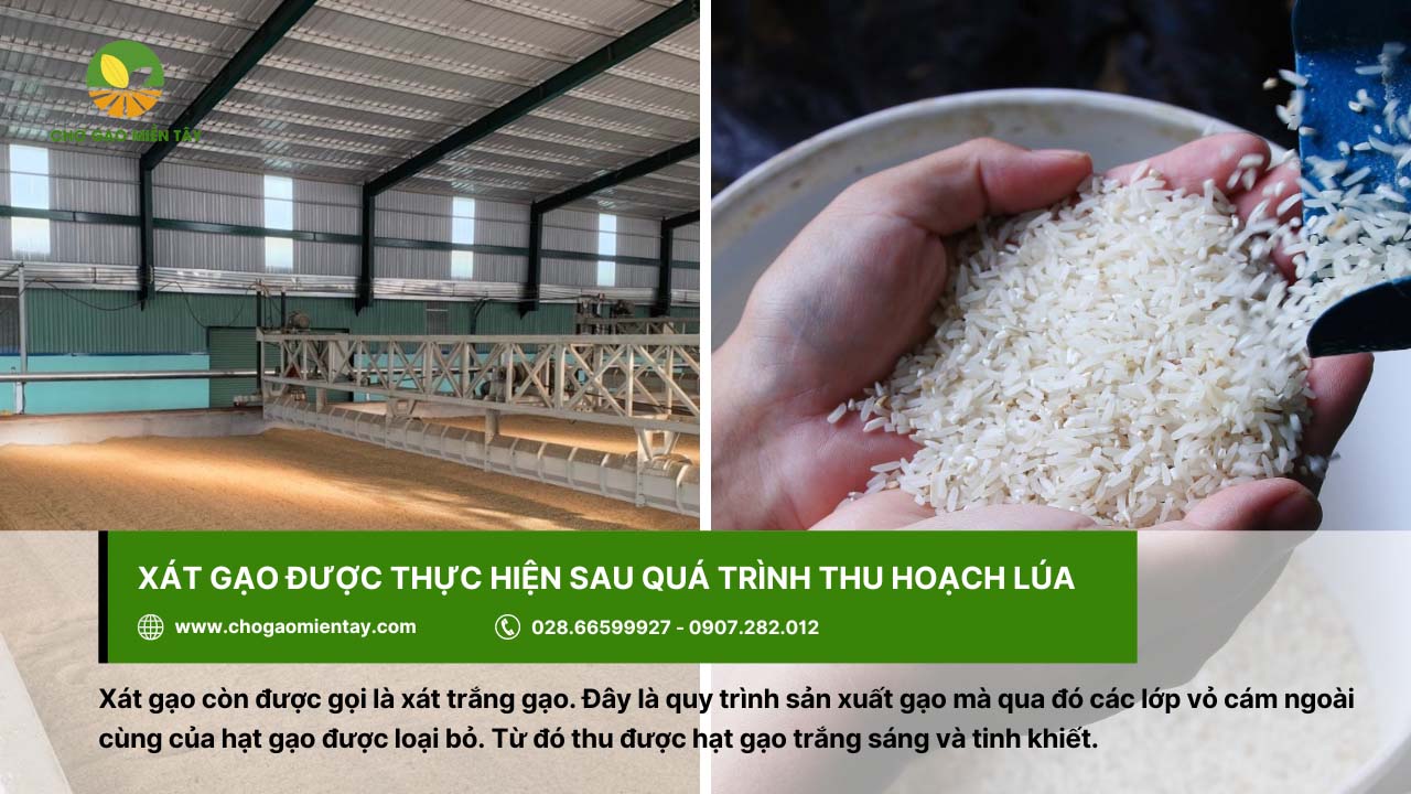 Xát gạo hay sát gạo? Gallery 2